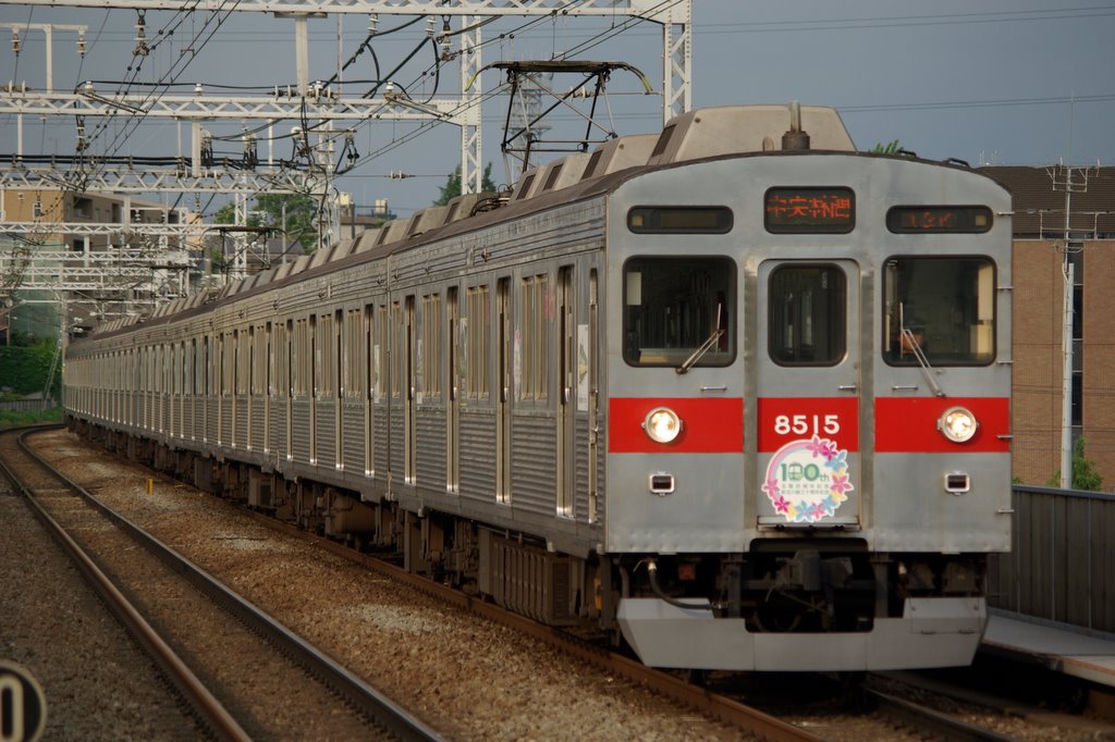 2007-02 玉電開通100周年・新玉川線開通30周年記念列車 8615F - 東急編成写真・資料館