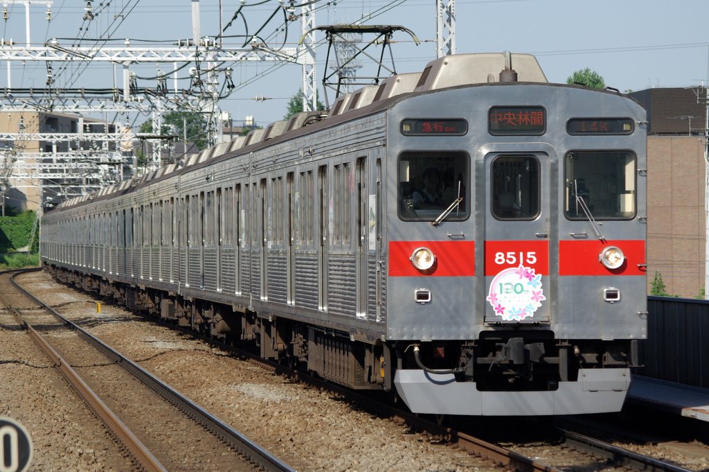 新玉川線10周年切符 新玉川線10周年切符 2025年最新】Yahoo!